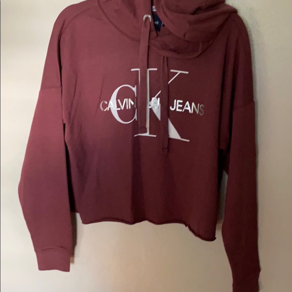 Calvin Klein Small Cropped Hoodie Sweatshirt Logo